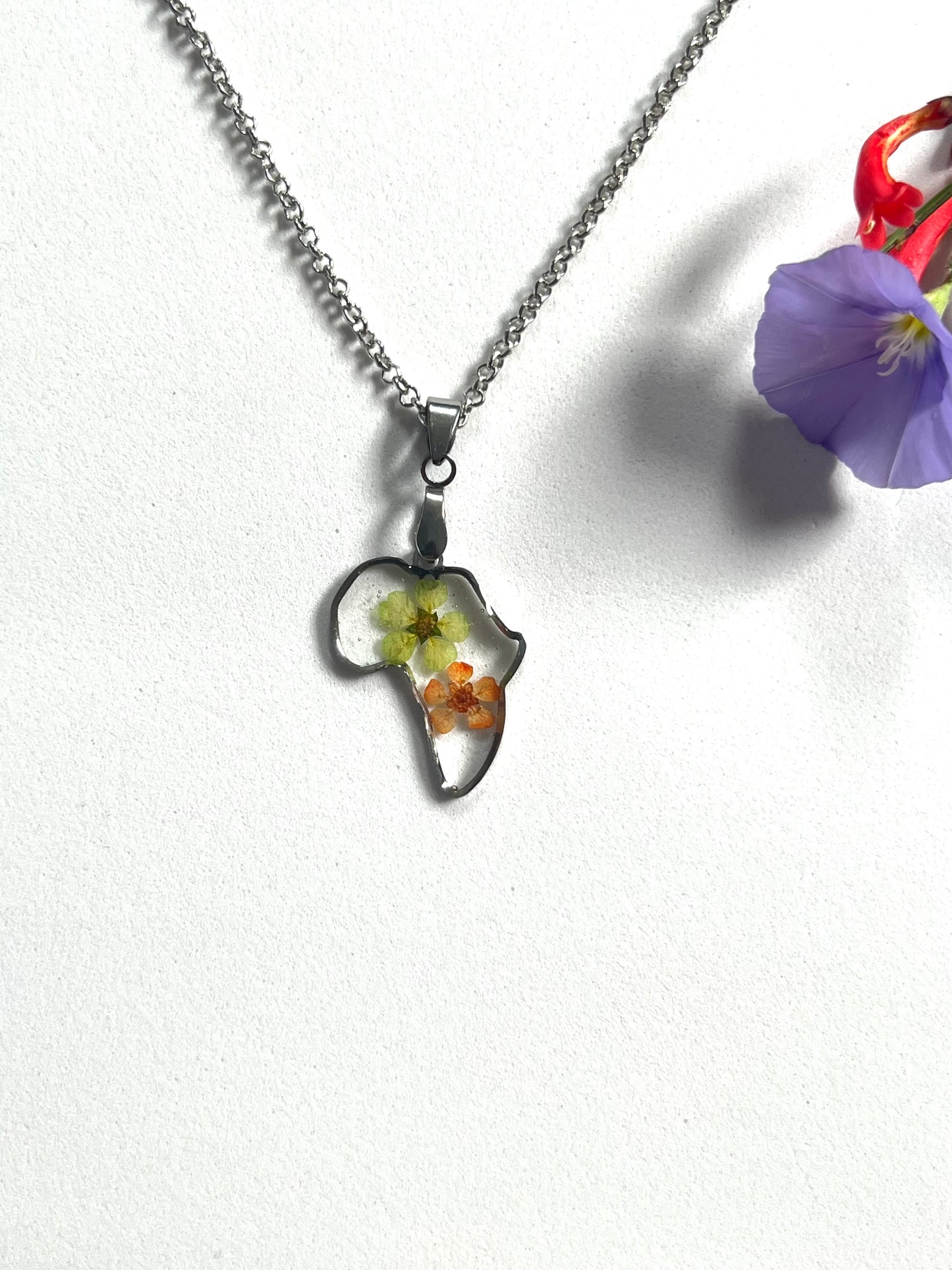 Africa outline two real petit flowers gift birthday anniversary souvenire