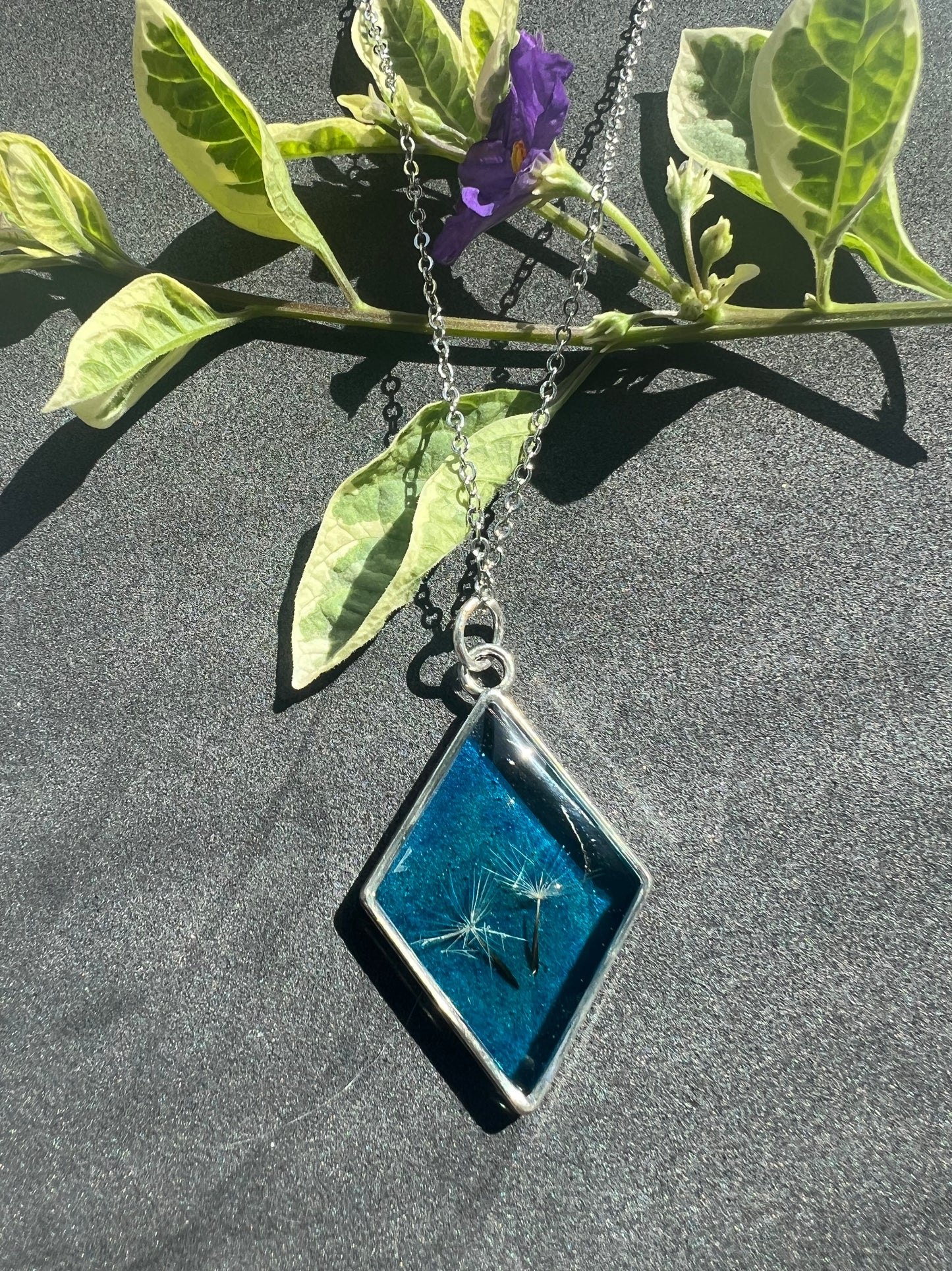 Real Dandelion in Diamond Frame
