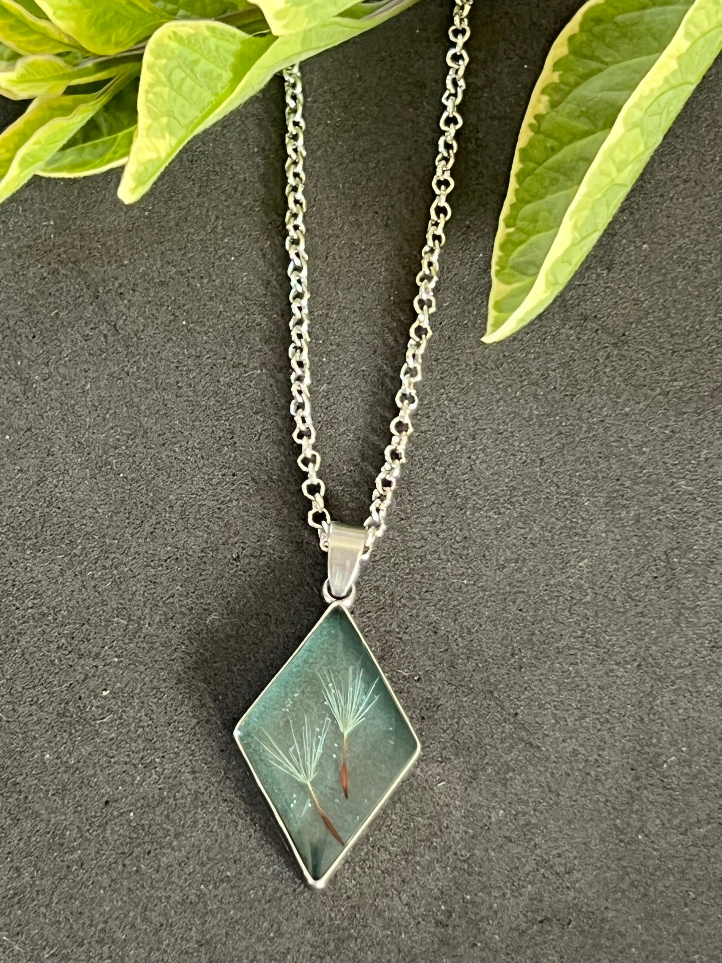 Real Dandelion in Diamond Frame