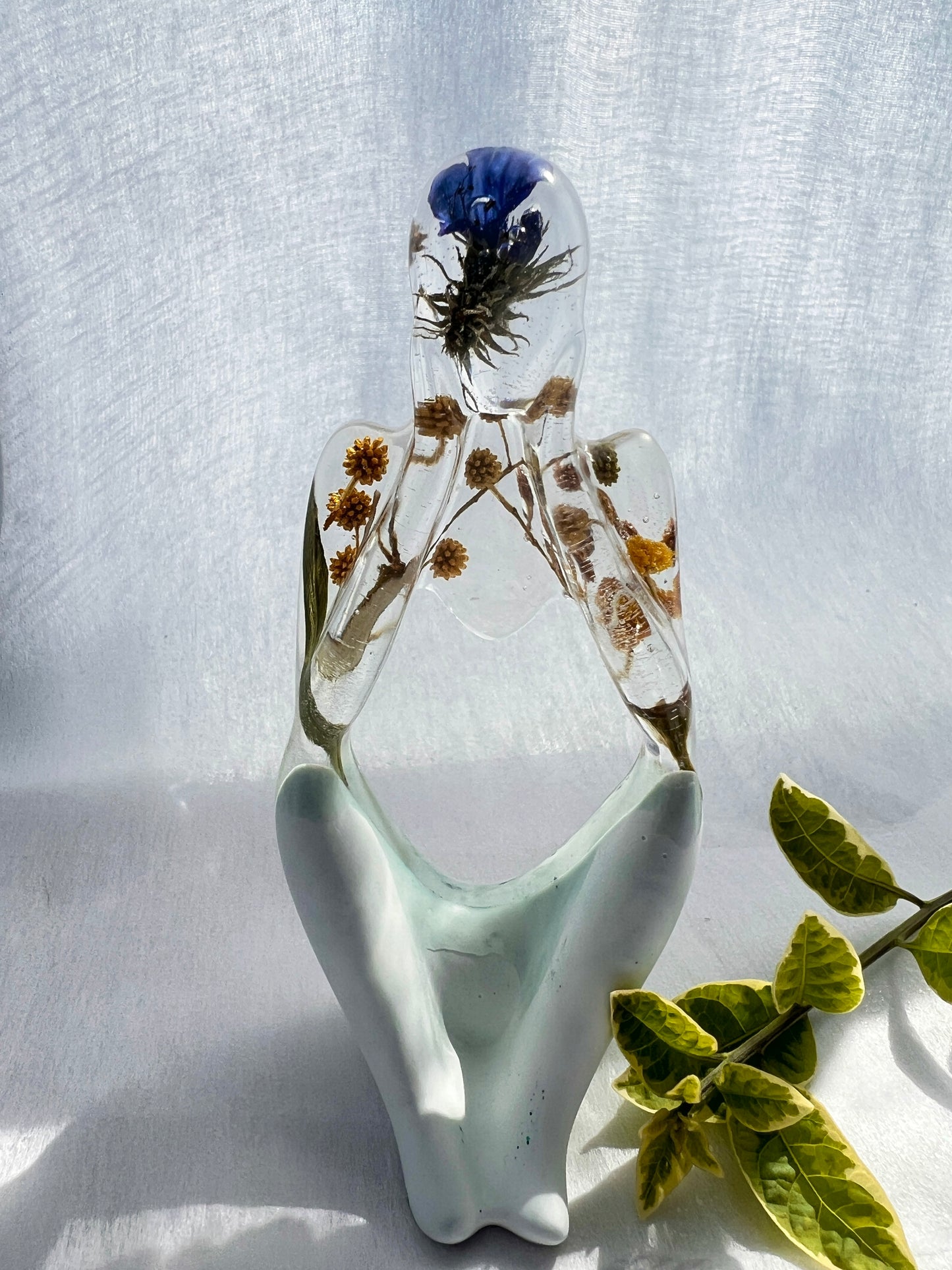 Fynbos Dreamer