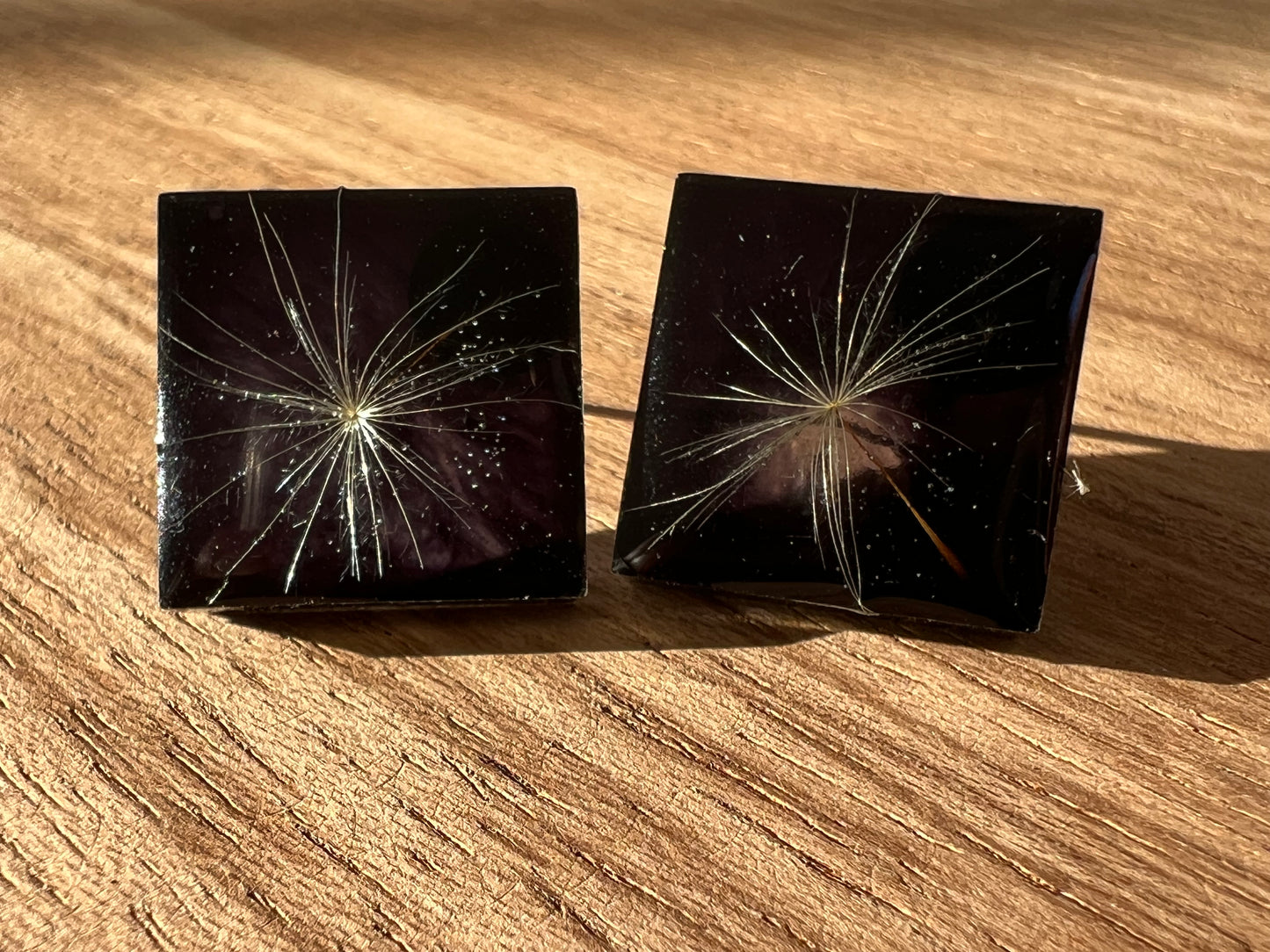 Real Dandelion Earrings in Black Setting Resin jewellery