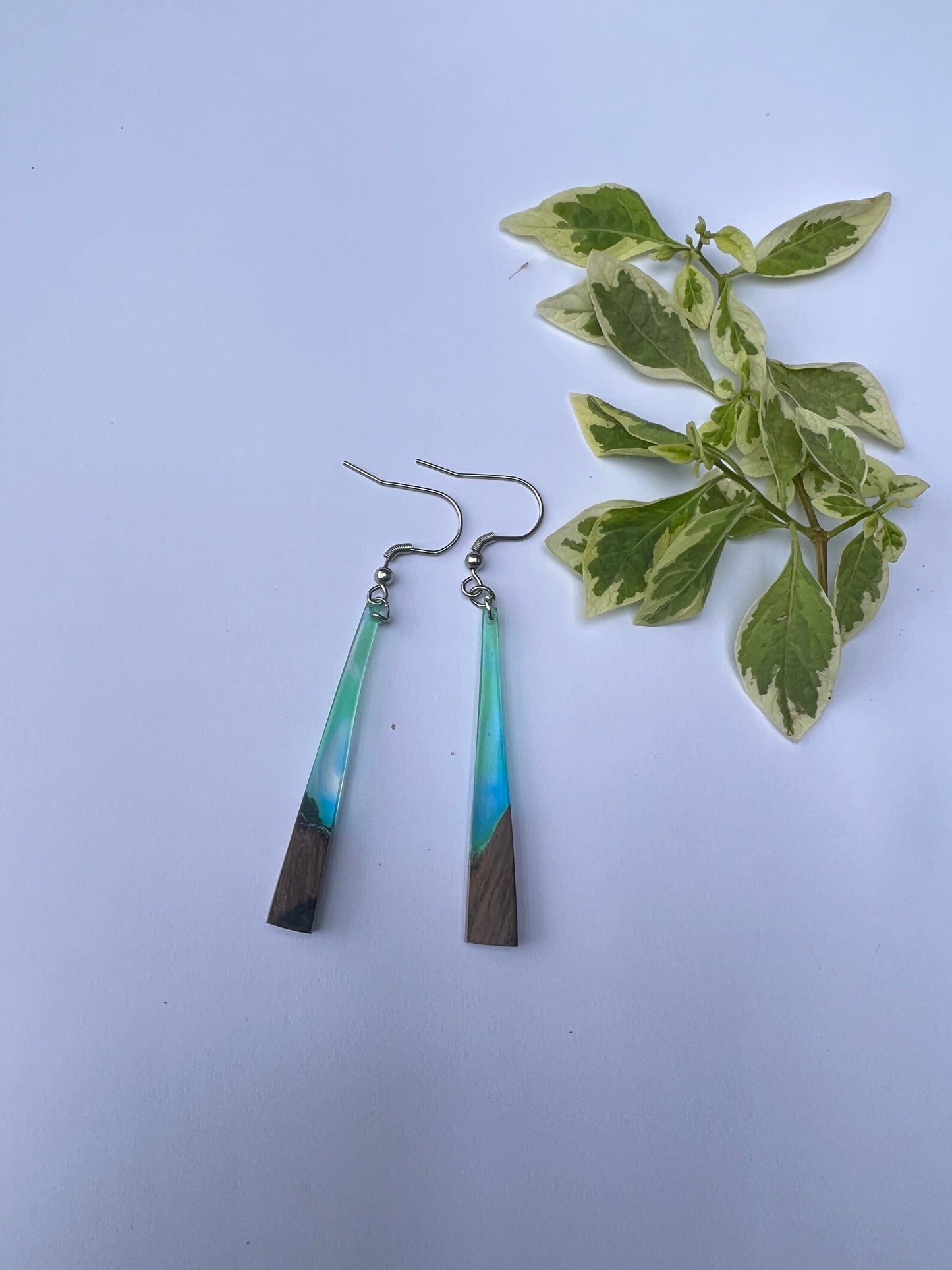 Colour blast Resin on Wood earrings