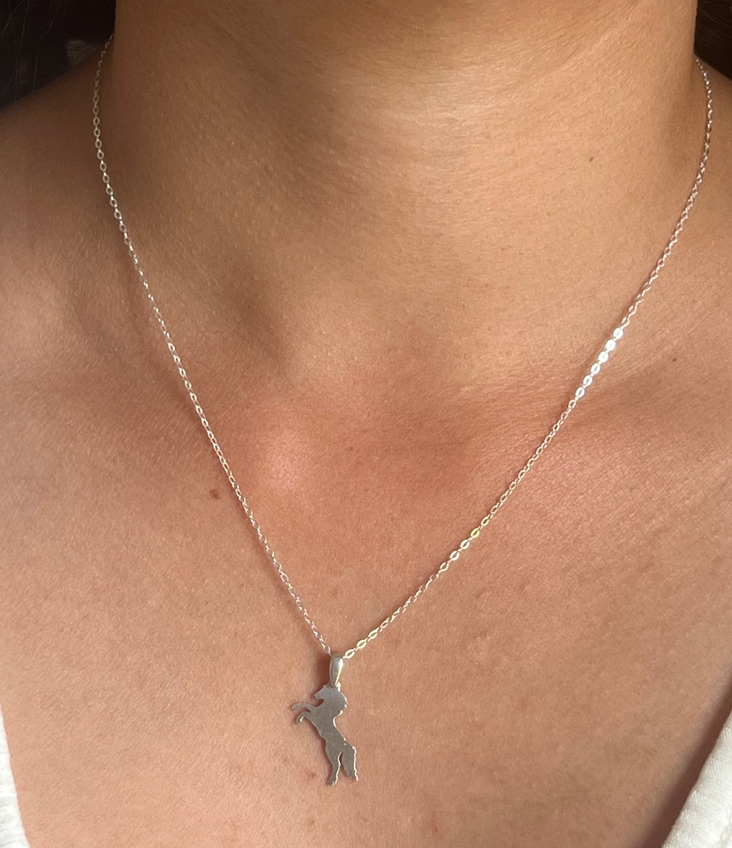 Sterling Silver Wild horse