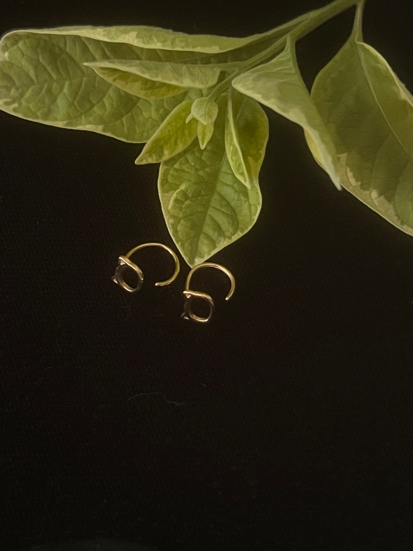 925 Sterling Silver loop Kitty Cat Earrings