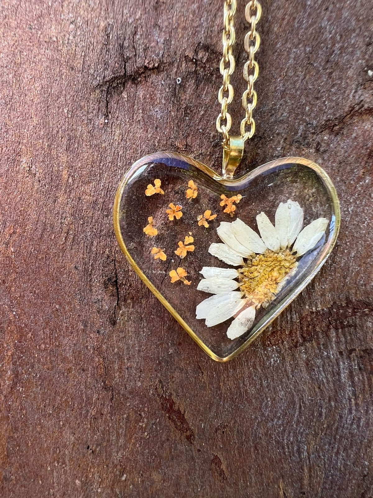 heart necklace real white daisy flower
