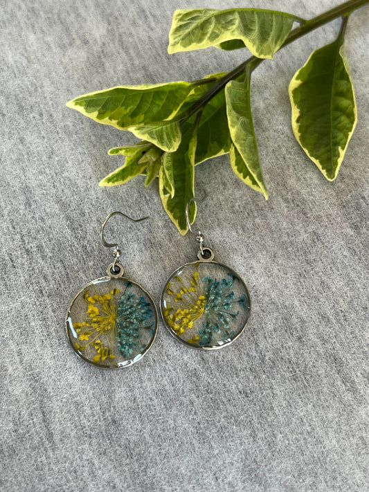 blue and yellow blast of real tiny fynbos flowers earrings silver round frame gift