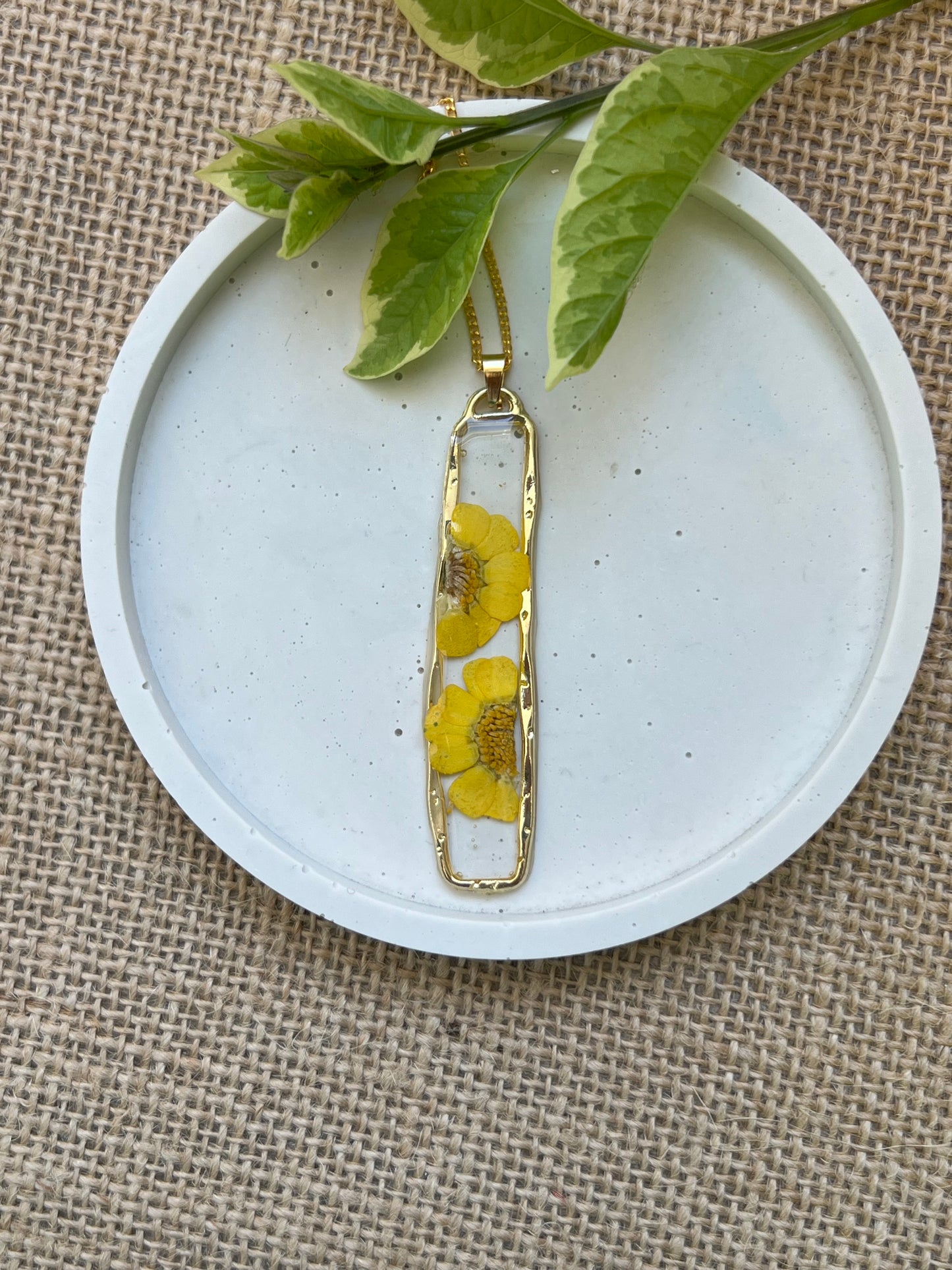 Rectangle Real Daisy Resin Jewellery