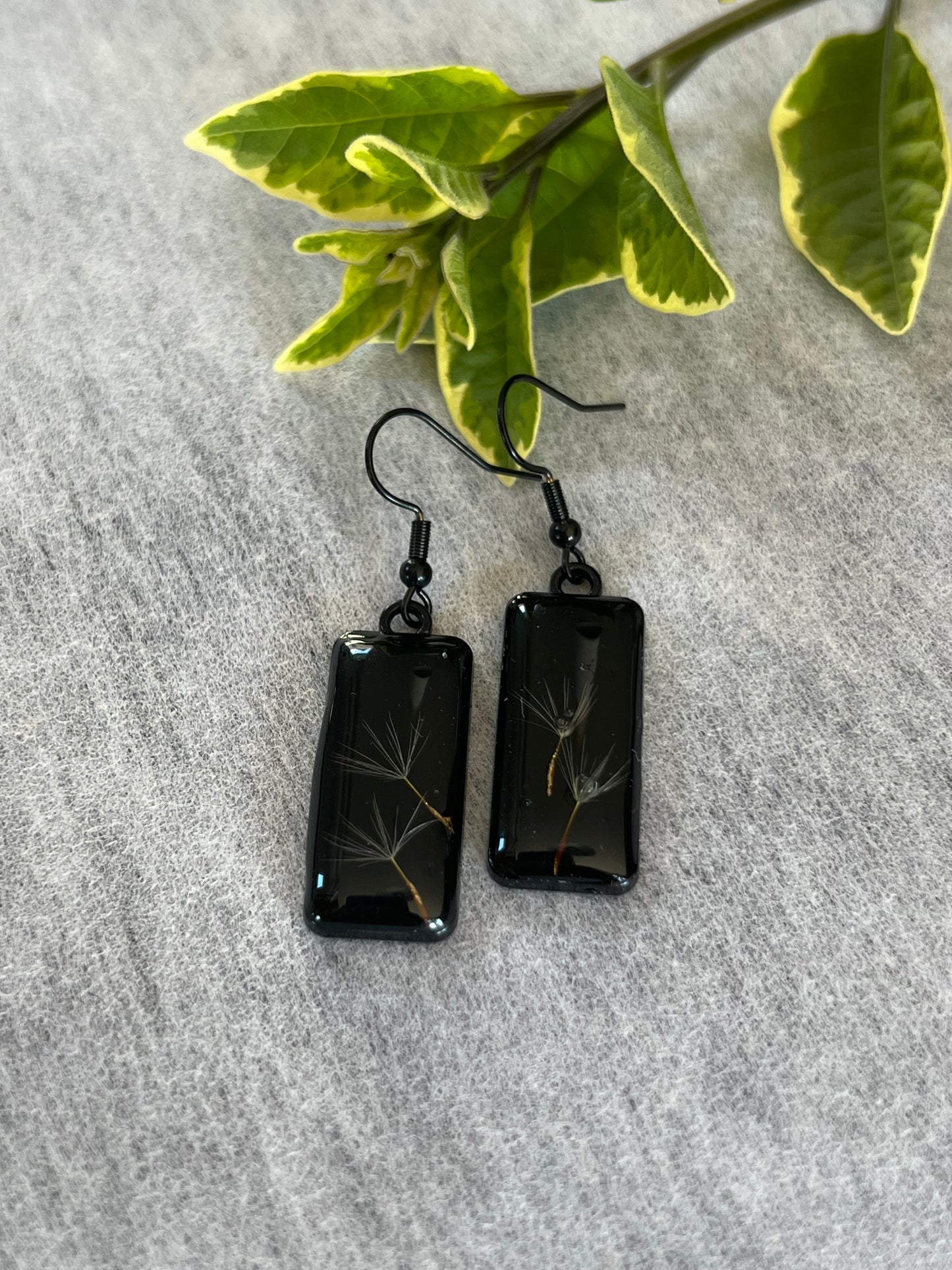 Real Dandelion Earrings in Black Setting Resin jewellery