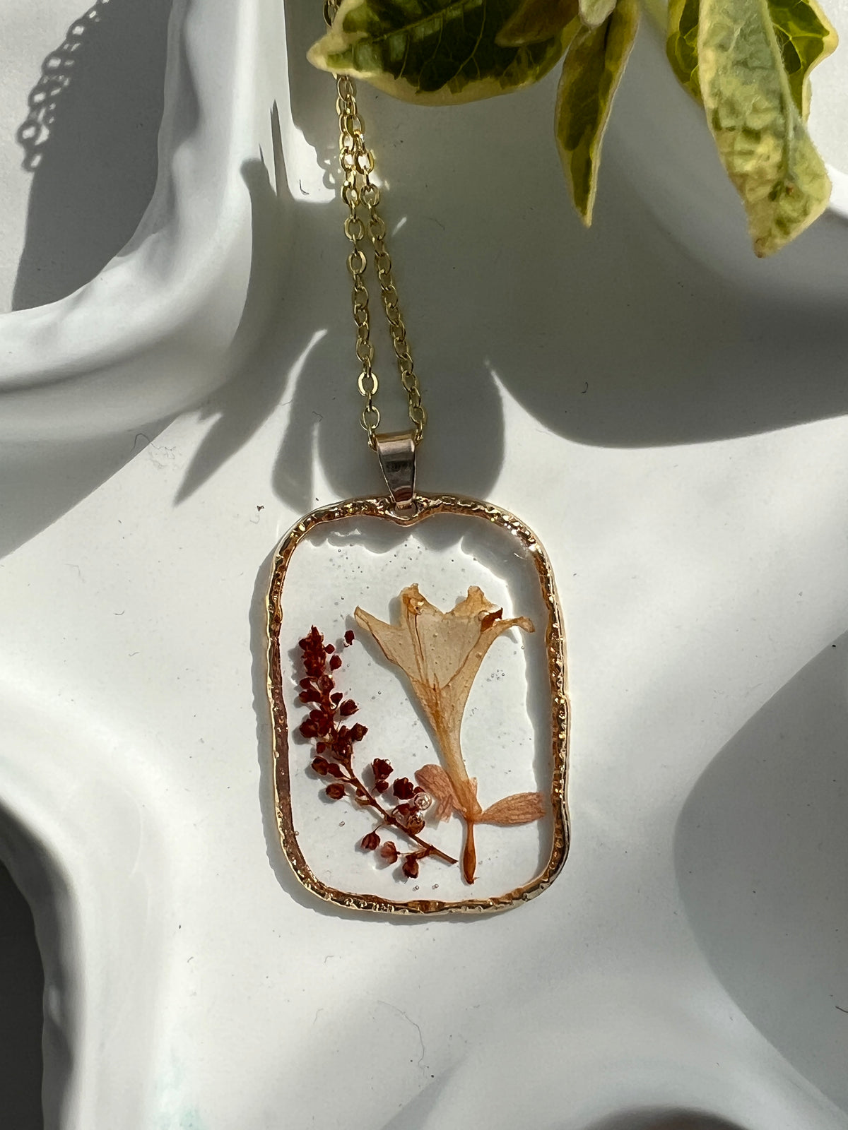 Wild Petit Fynbos in Rectangle Frame - JewlOn