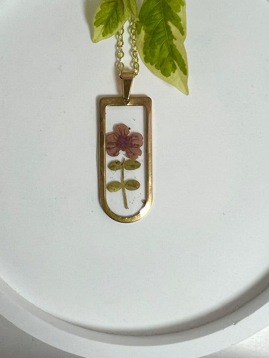 Wild Petit Fynbos in Rectangle Frame