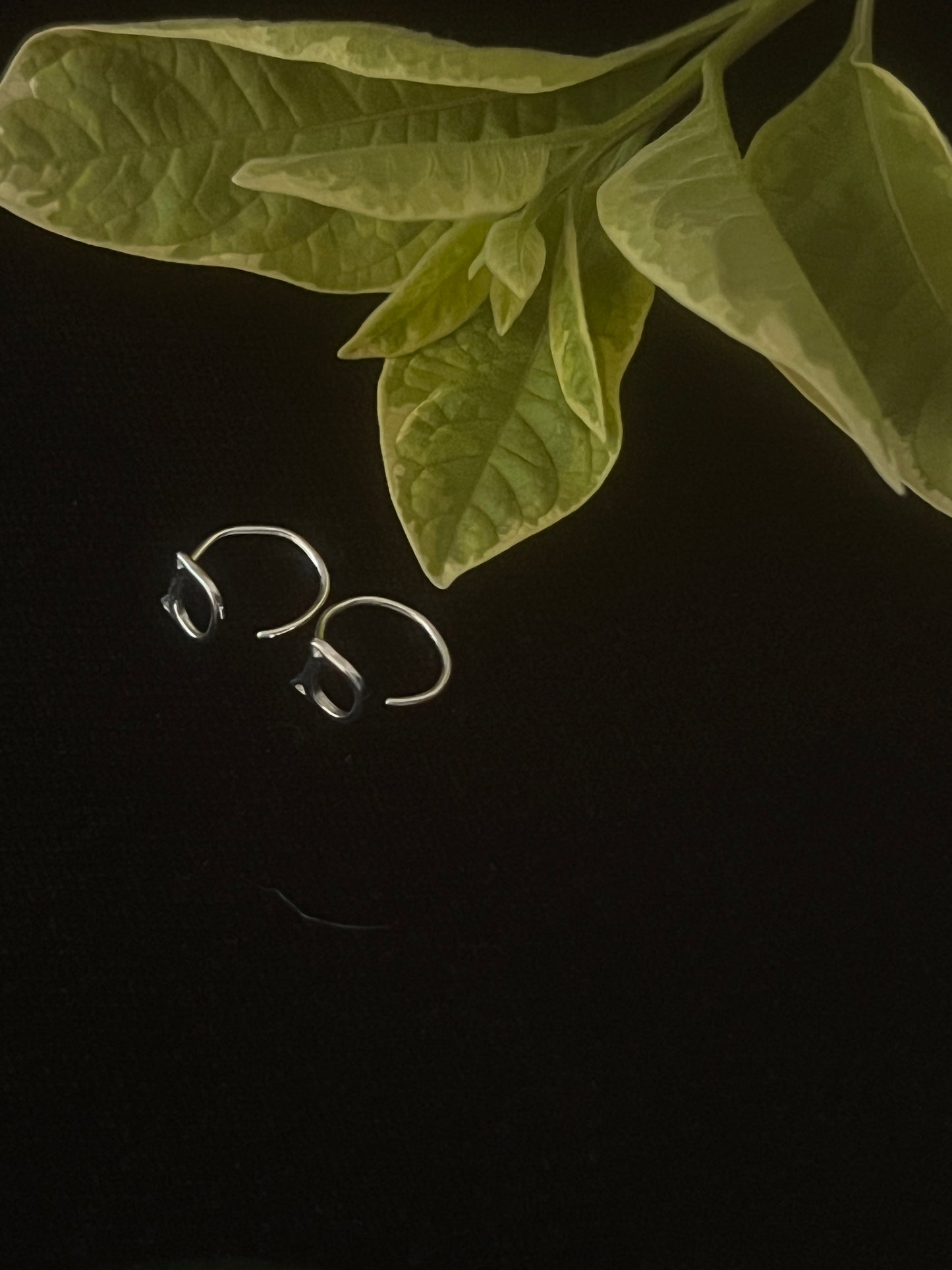 925 Sterling Silver loop Kitty Cat Earrings