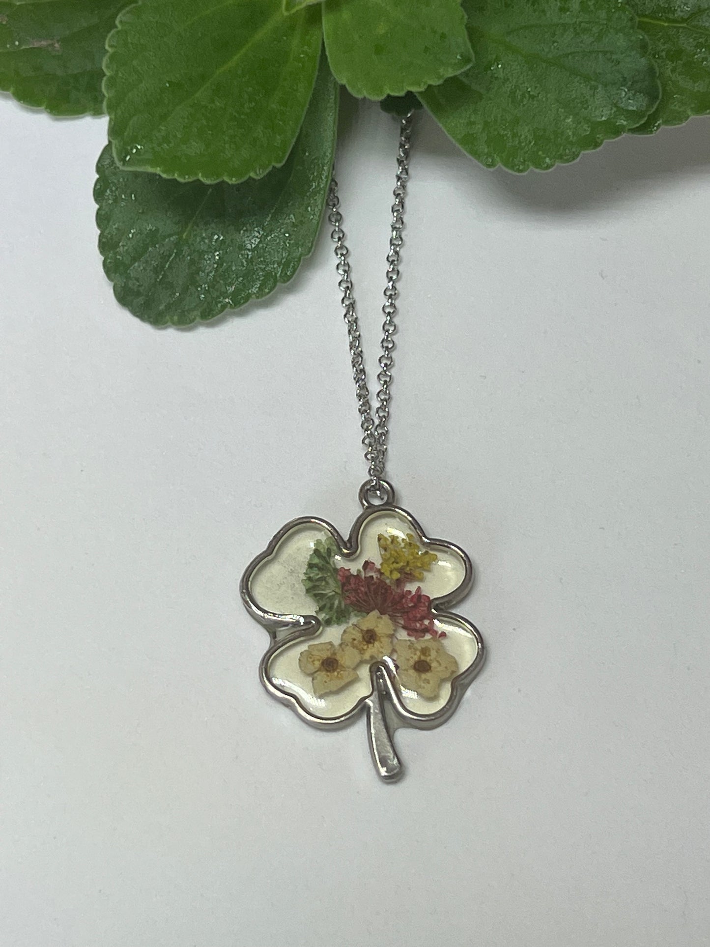 four leaf clover real flower red green white. necklace