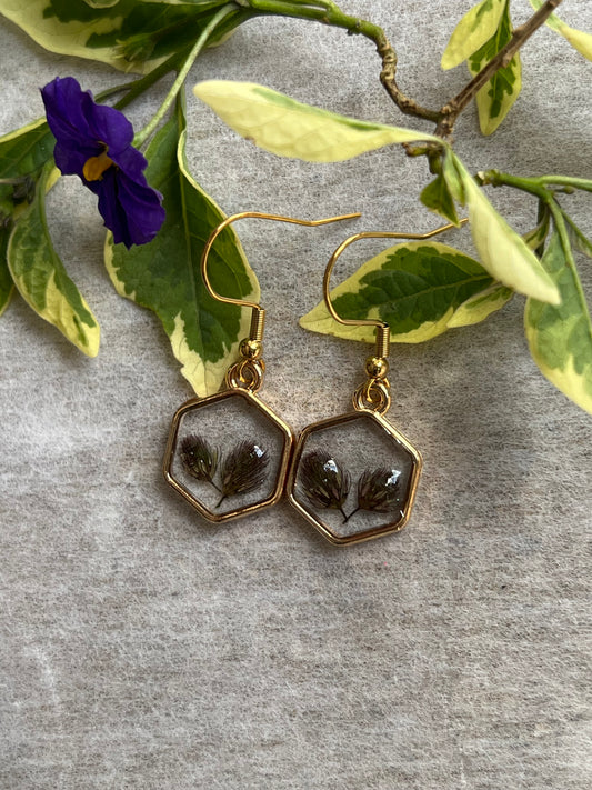 Tiny Fynbos Hexagon Resin Earrings