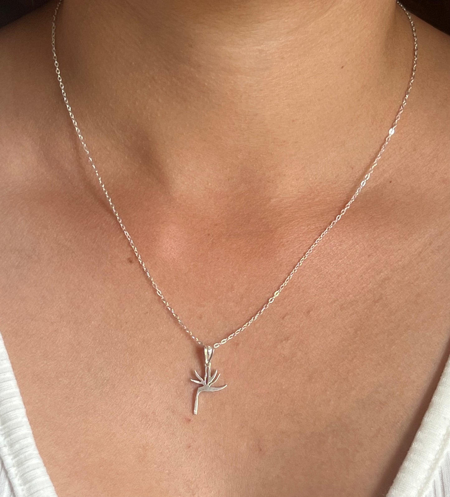 Sterling Silver Strelitzia necklace