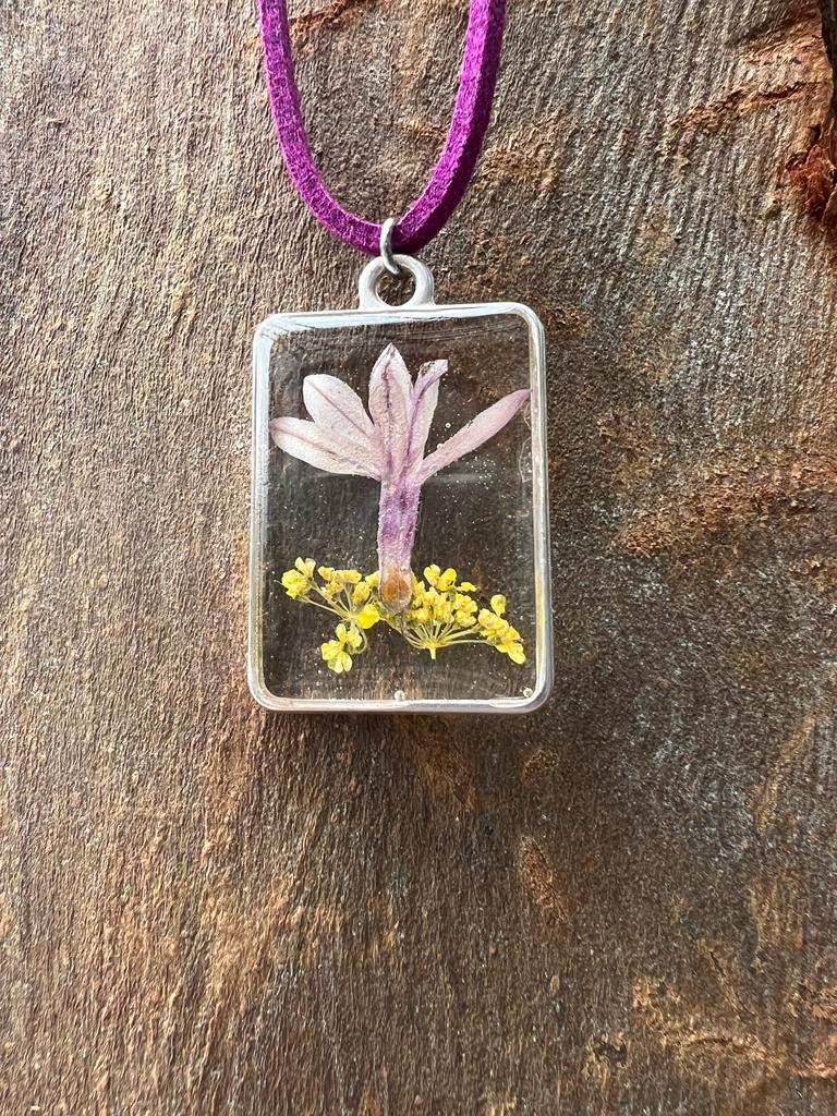 soft purple pink and yellow blast of fynbos flowers tiny real flowers in silver square frame necklace